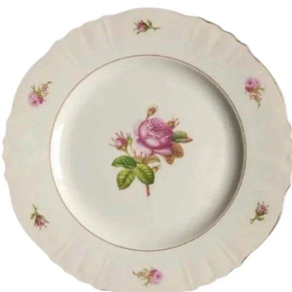 SYRACUSE CHINA VICTORIA PATTERN FEDERAL SHAPE 10" DINNER PLATE MADE IN AMERICA - Picture 1 of 4